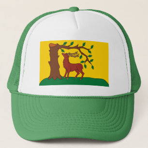 Drapeau du comté historique de Berkshire Casquette