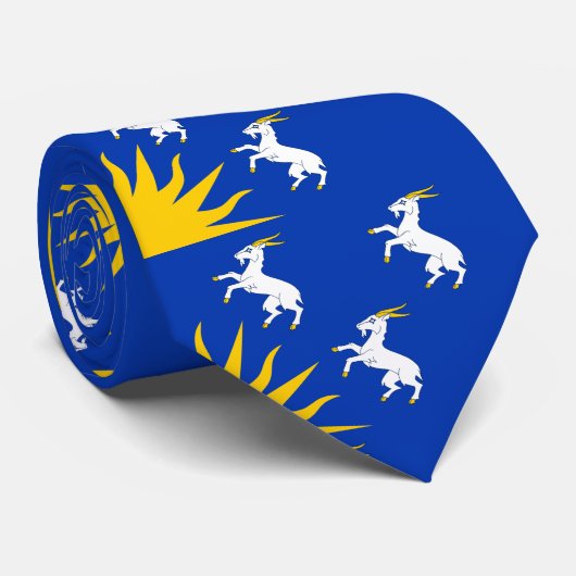 Drapeau du Cravate du Merionethshire (Roulé)