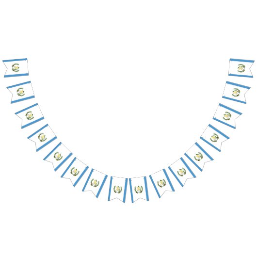 Drapeau du Guatemala (Tout)