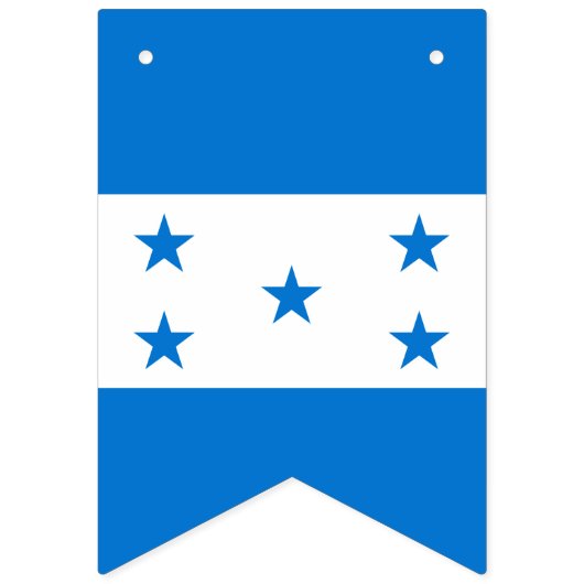 Drapeau du Honduras (Premier drapeau)