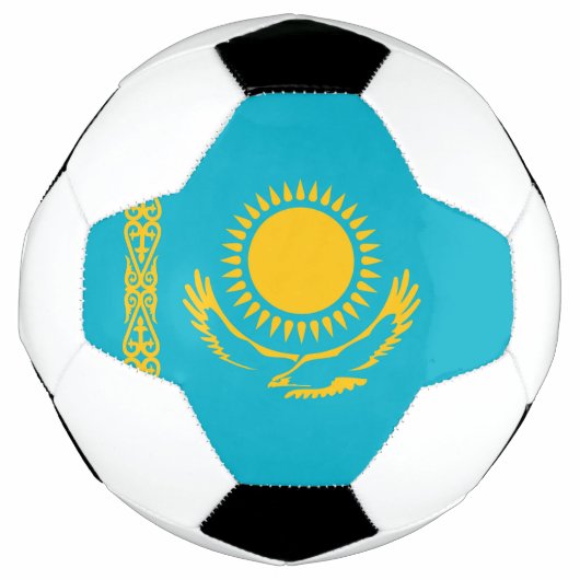 Drapeau du Kazakhstan (Devant)