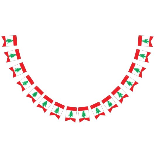 Drapeau du Liban (Tout)