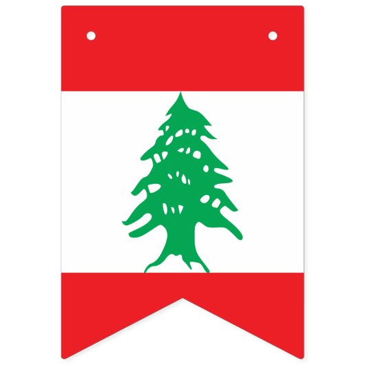 Drapeau du Liban (Troisième drapeau)