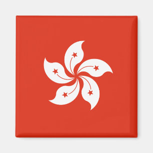 Drapeau du Magnet de Hong Kong