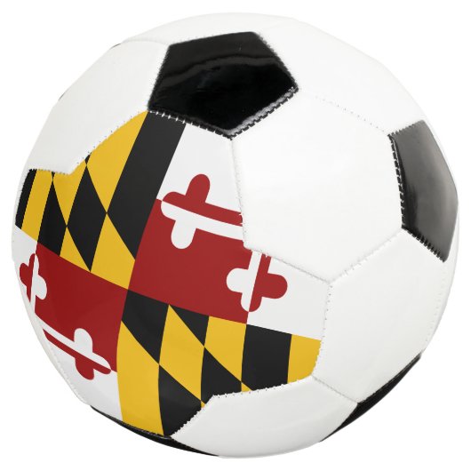 Drapeau du Maryland (3/4)