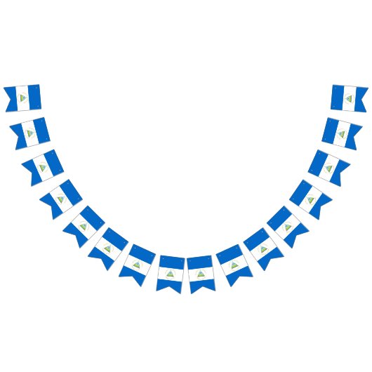 Drapeau du Nicaragua (Tout)