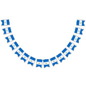 Drapeau du Nicaragua (Tout)