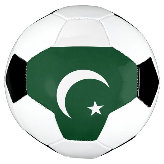 Drapeau du Pakistan (Tourné)