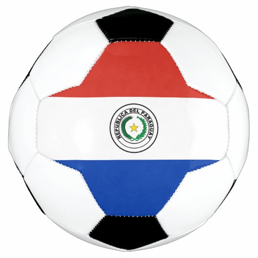 Drapeau du Paraguay (Devant)