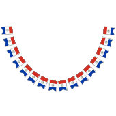 drapeau du Paraguay (Tout)