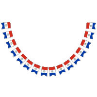 drapeau du Paraguay