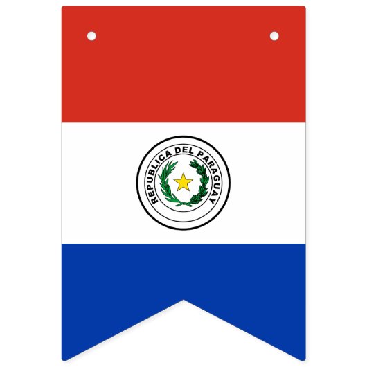 drapeau du Paraguay (Premier drapeau)