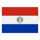 drapeau du Paraguay (Devant horizontal)