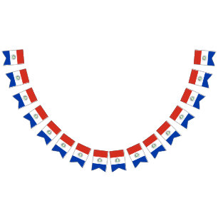 Drapeau du Paraguay