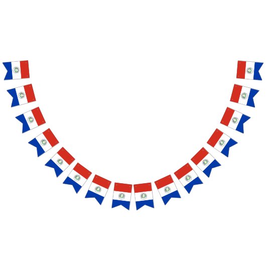 Drapeau du Paraguay (Tout)