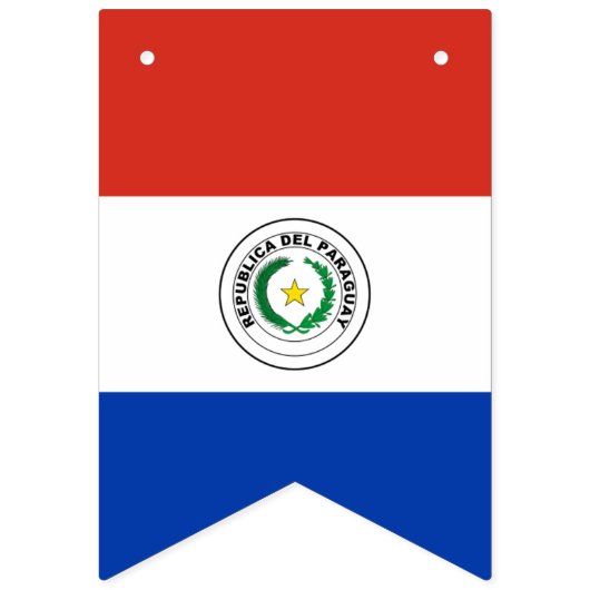 Drapeau du Paraguay (Premier drapeau)