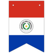 Drapeau du Paraguay (Troisième drapeau)