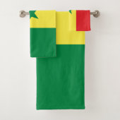 Drapeau du Sénégal (En situation)