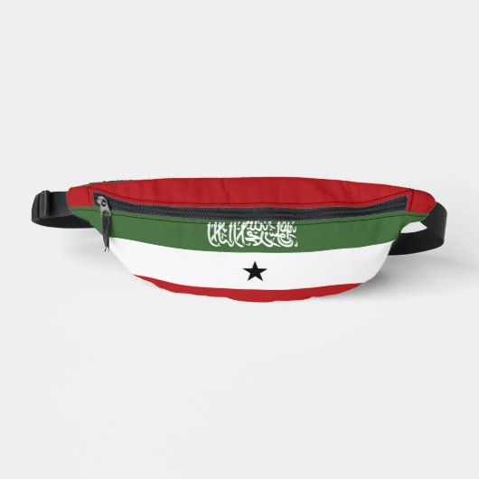 Drapeau du Somaliland (Recto)