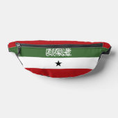 Drapeau du Somaliland (Poser)