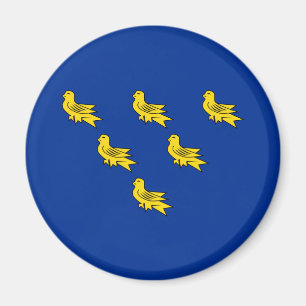 Drapeau du Sussex Magnet