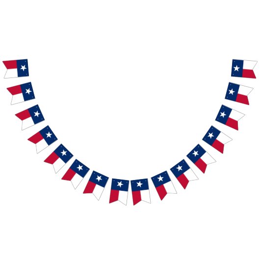 Drapeau du Texas (Tout)