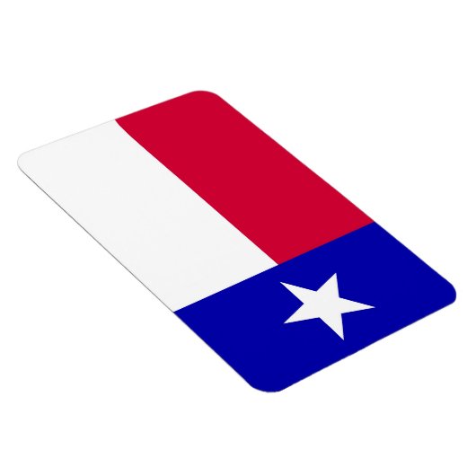 Drapeau du Texas Magnet (Côté Droit)