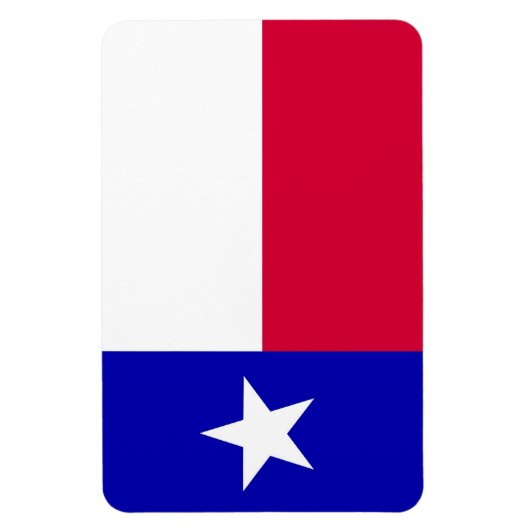 Drapeau du Texas Magnet (Vertical)