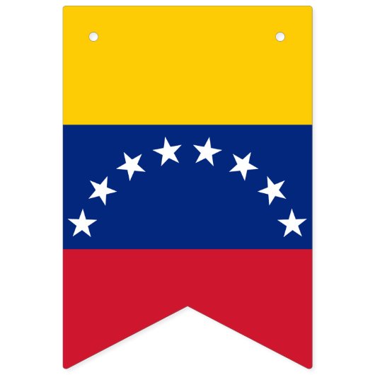 Drapeau du Venezuela (Troisième drapeau)