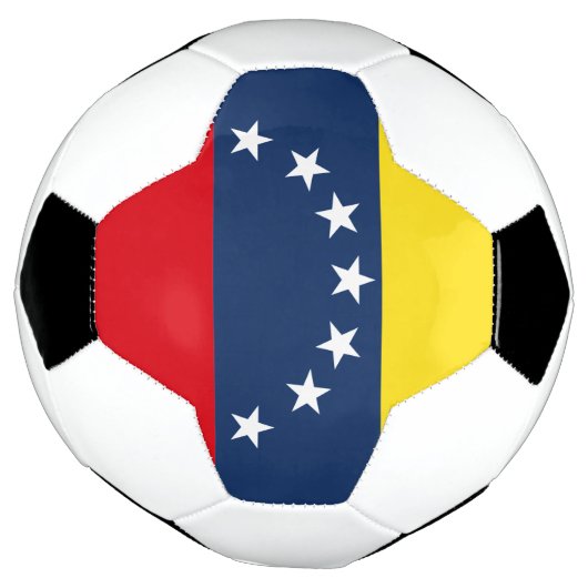 Drapeau du Venezuela (Tourné)