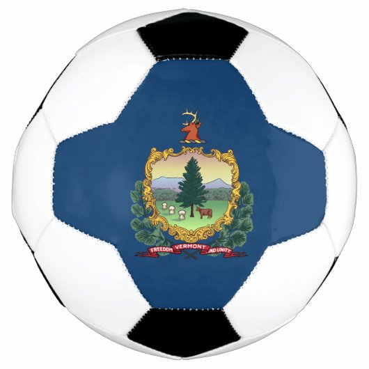 Drapeau du Vermont (Devant)