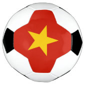 Drapeau du Vietnam (Tourné)