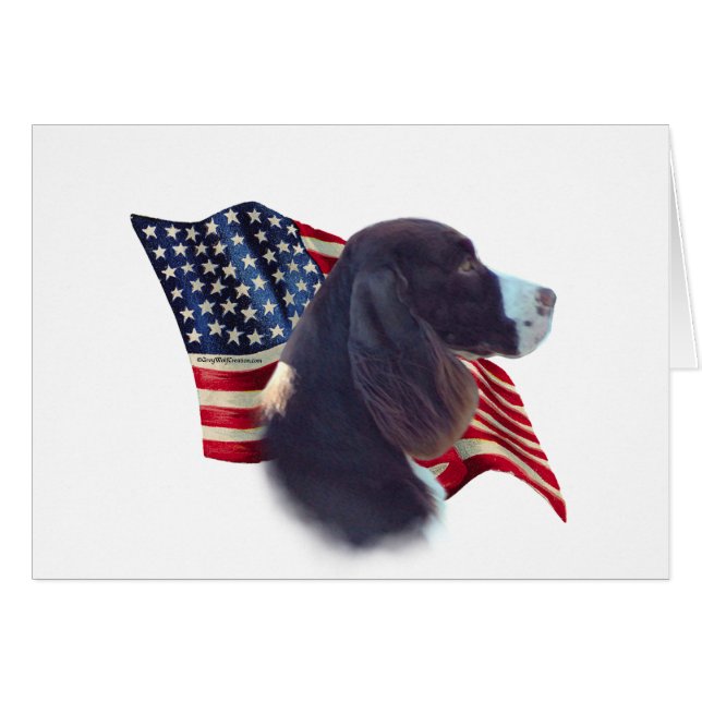 Drapeau espagnol Springer anglais (Devant horizontal)