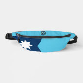 Drapeau et sceau du Minnesota (Recto)