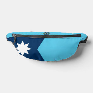 Drapeau et sceau du Minnesota