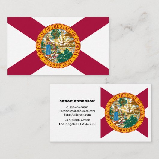 Drapeau Floride Élégants Cartes de visite / USA (Devant / Derrière)