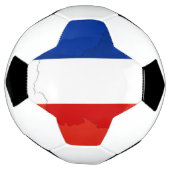 drapeau français (Tourné)