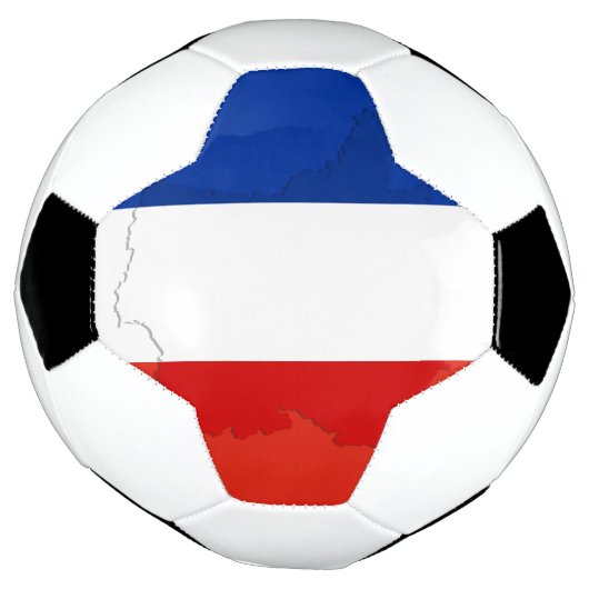 drapeau français (Tourné)