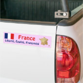 Drapeau France + Sticker pare-chocs (Sur camion)