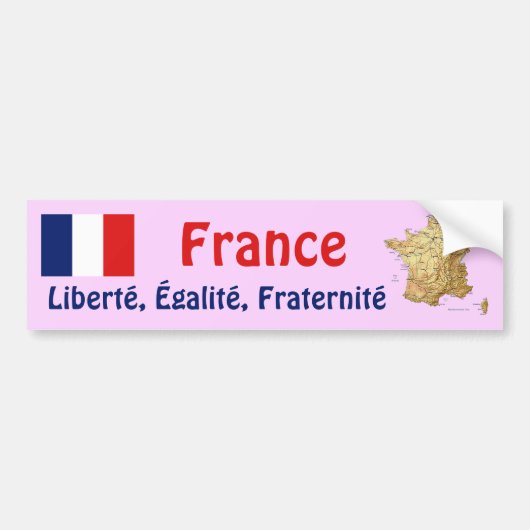 Drapeau France + Sticker pare-chocs (Devant)