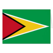 Drapeau Guyana (Devant horizontal)