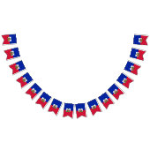 Drapeau haïtien (Tout)