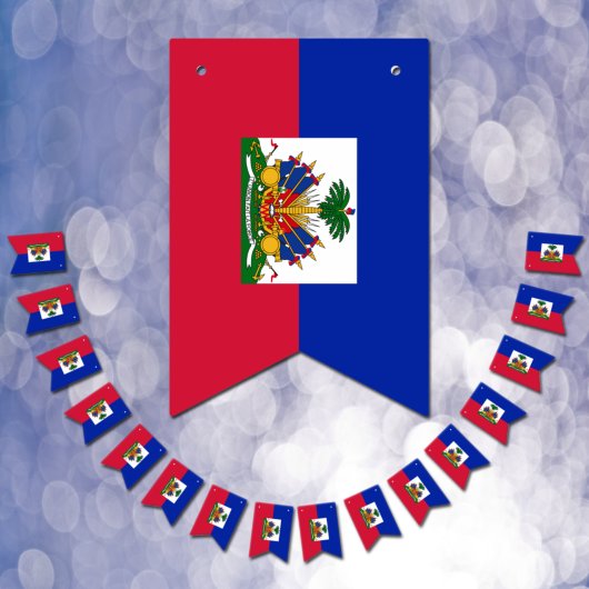 Drapeau haïtien & bannières du parti Haïti / maria
