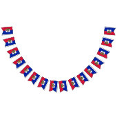 Drapeau haïtien & bannières du parti Haïti / maria (Tout)