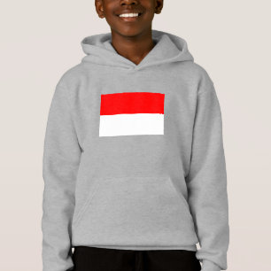Drapeau Indonésie