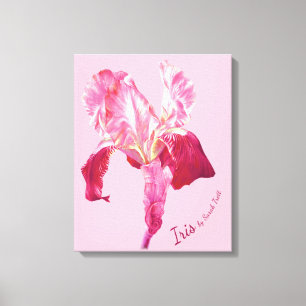 Drapeau Iris en toile encadrée rouge et rose