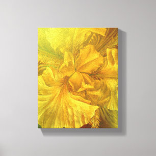 Drapeau iris intérieur beauté jaune art toile impr