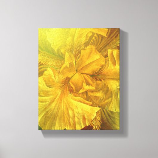Drapeau iris intérieur beauté jaune art toile impr (Recto)
