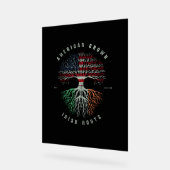 Drapeau irlandais de croissance américaine irlanda (Angle)