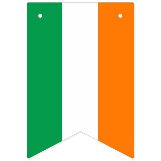 Drapeau irlandais drapeaux de Bunting de couleur (Premier drapeau)